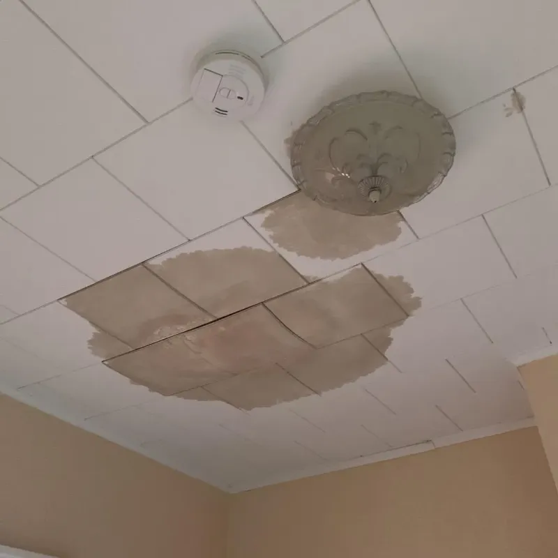 Ceiling Water Damage Repair in Maury, NC