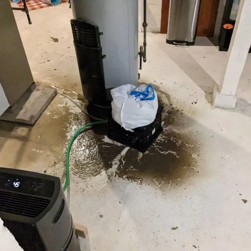 Sewage Backup Cleanup Service in Maury, NC